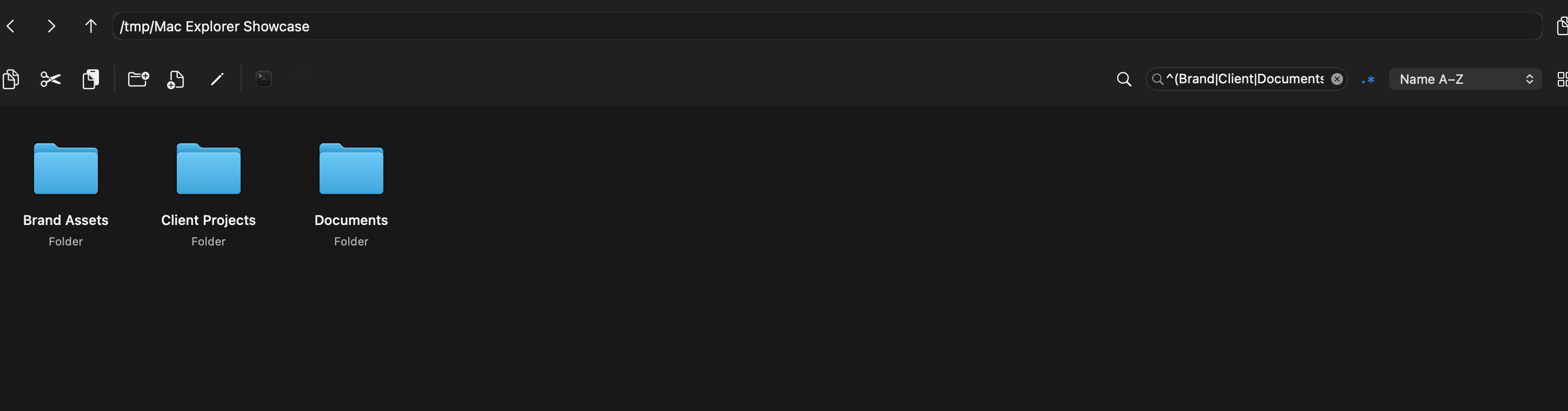 The RegExp filter bar in Mac Explorer with the expression ^(Brand|Client|Documents) and matching folders
